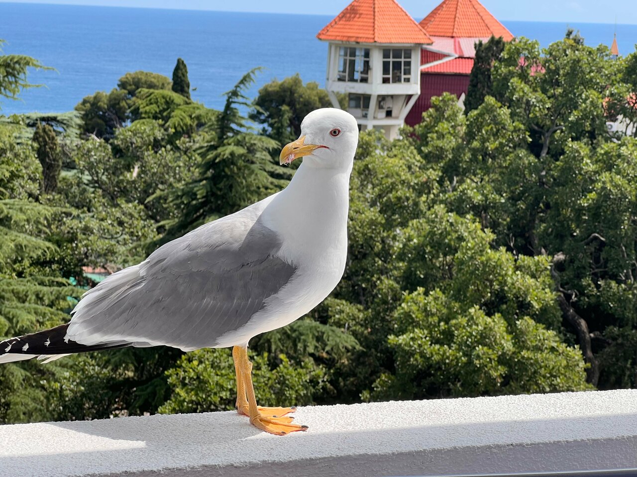 Гостиница Парк Авеню Кореиз-220