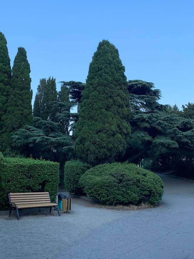 Гостиница Парк Авеню Кореиз-97